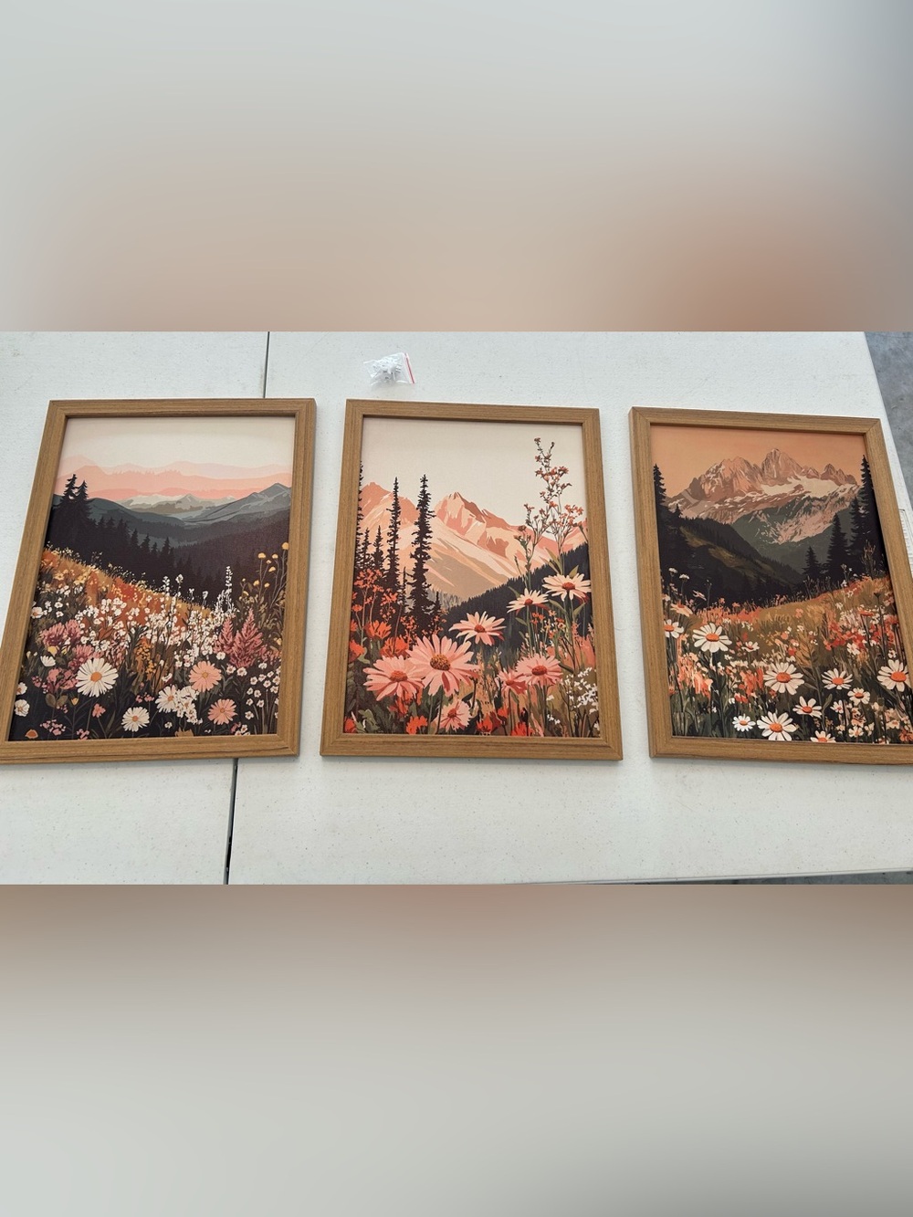 Boho Colorful Landscape Wall Art Set of 3, Vintage Style Wildflower